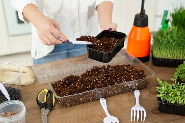 Close‑up of a woman’s hands pouring rich earth into a shallow tray for planting micro‑green seeds